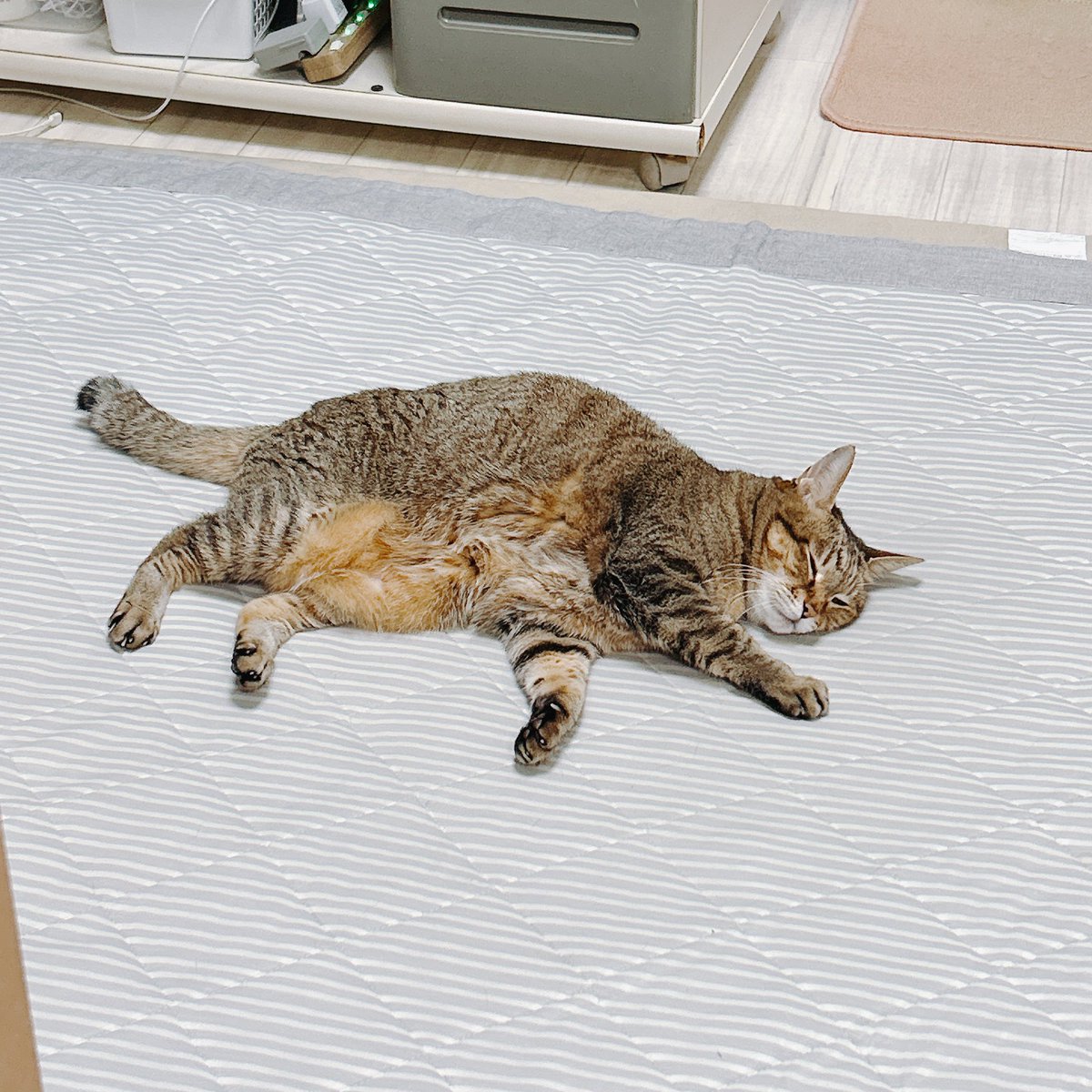 遊馬 (@n_515151) / Posts / X