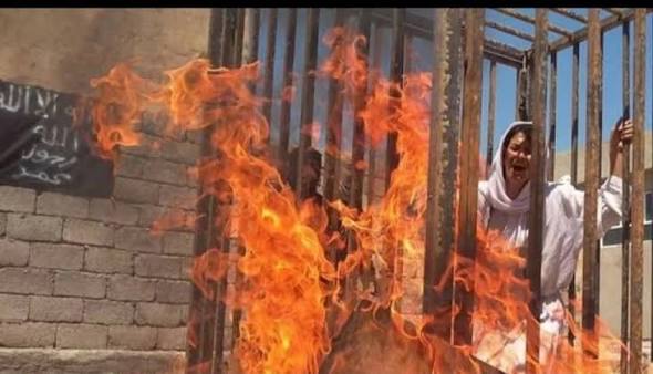 Bullishape2's tweet photo. @abierkhatib @piersmorgan @realDonaldTrump Fuck Islam https://t.co/4s2kMdCPxe