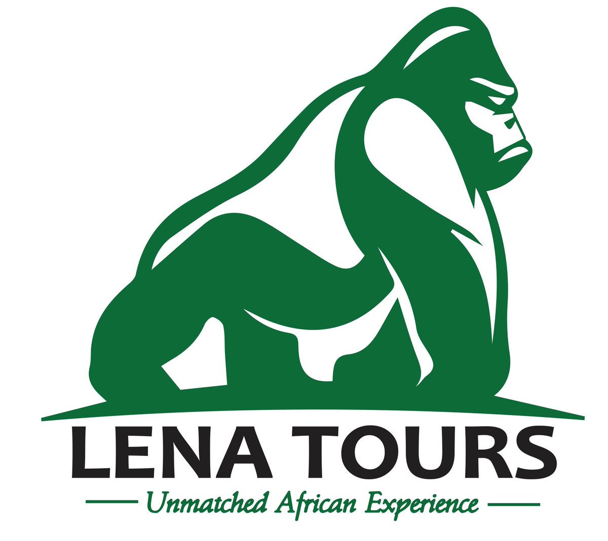 EddieTourGuide's tweet image. Enjoy a low budget 6-day with @LenaTours_ and experience chimpanzee and gorilla tracking, all perfectly organized, with great accommodations and meals. 

Visit our website lenatours.africa

For inquiries, Call: +256 740 026 700.

#Gorillatracking