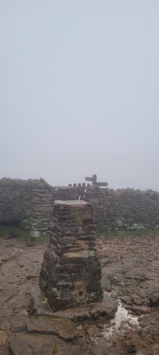 lycra lout tweet media