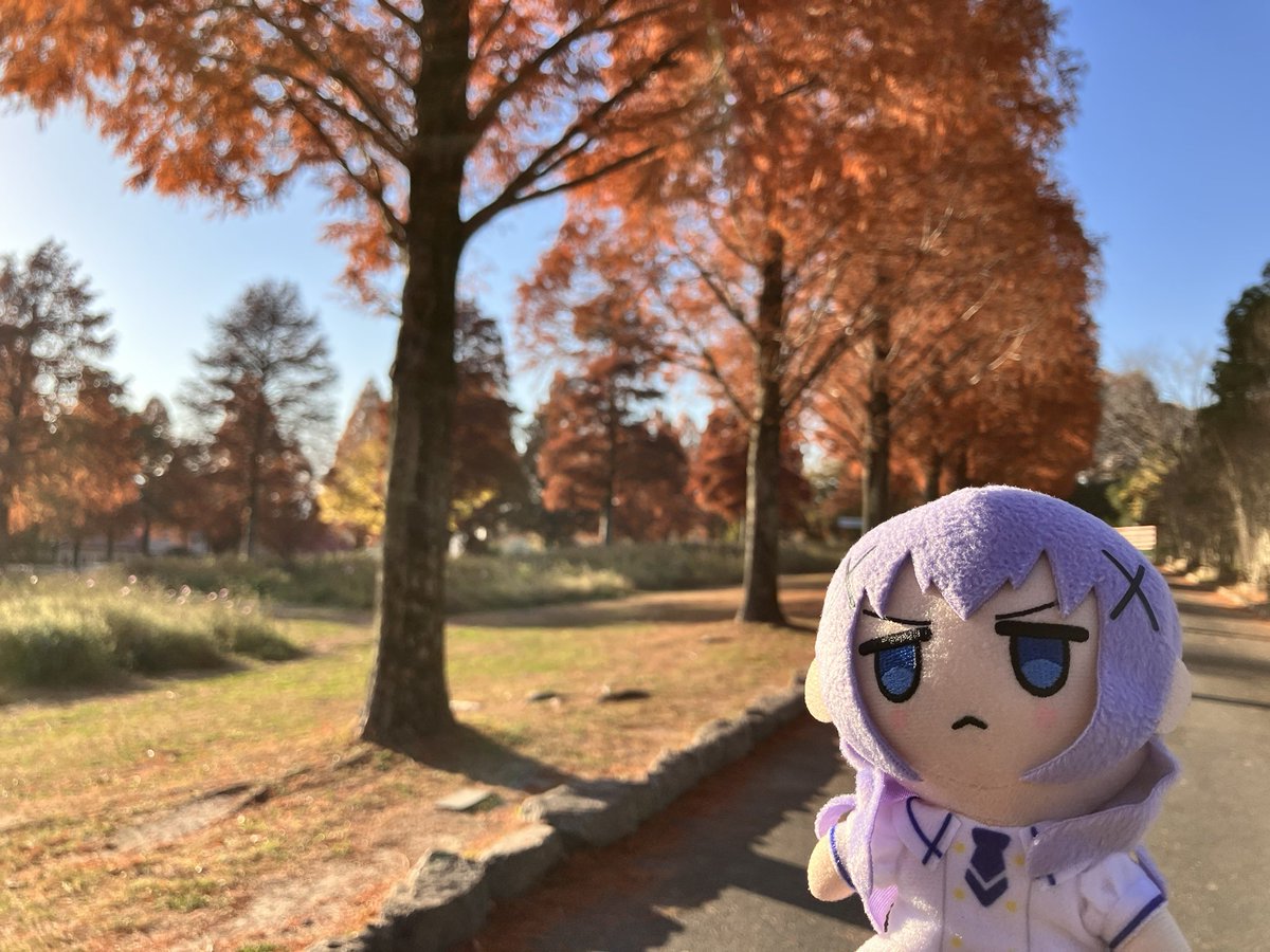 さむいです…ぶるぶる😠