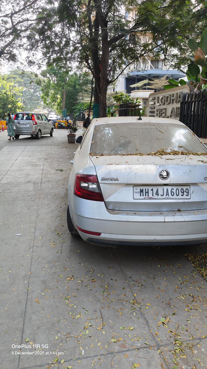 Imran Africawala tweet media