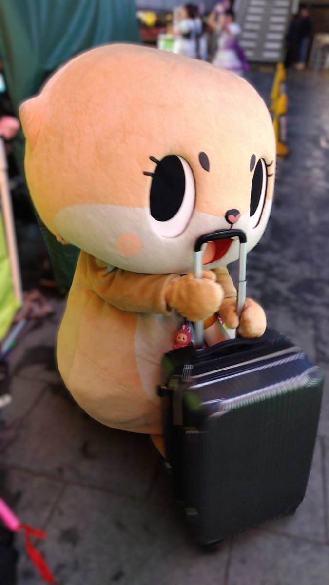 公式：ちぃたん☆大阪 (@Chiitan_Osaka) / Posts / X