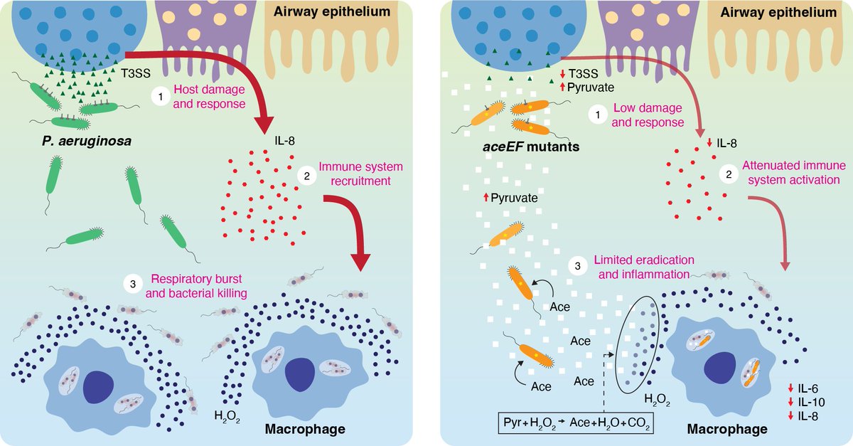Ruggero La Rosa tweet media