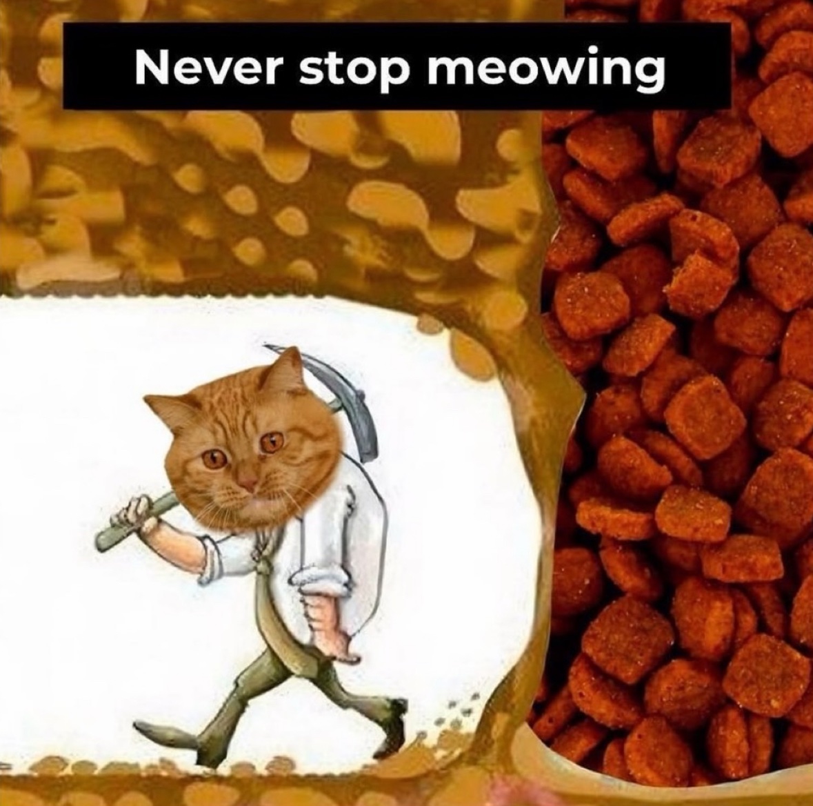 RespectfulMemes's tweet image. 