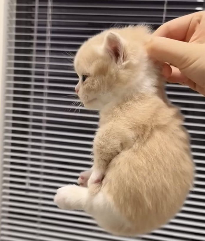 띠룽이💟 (@yuddiis2) on Twitter photo 