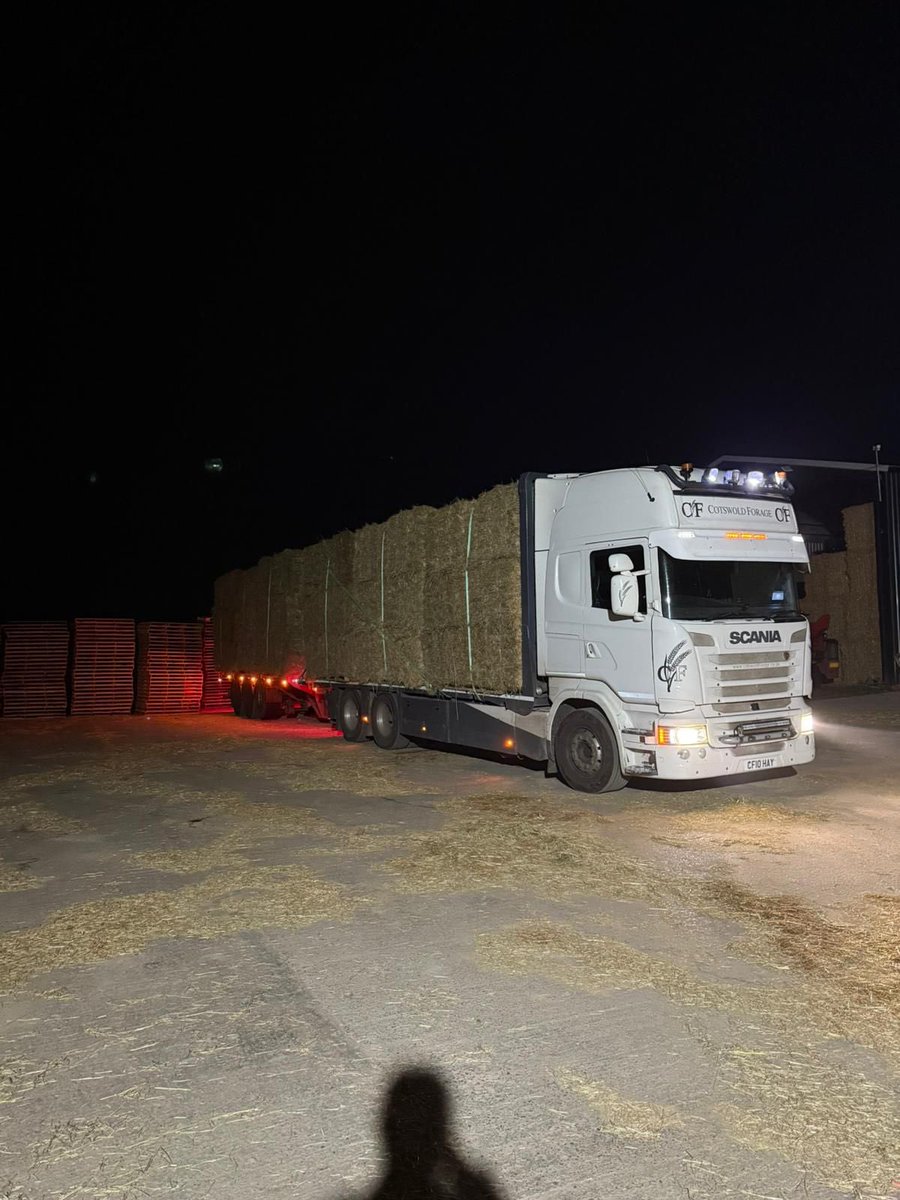 Cotswold Forage tweet media