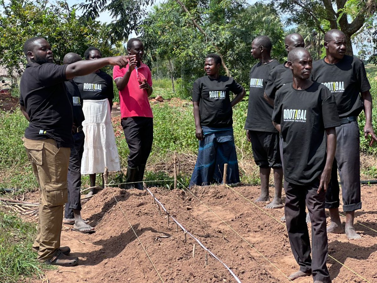 Rootical tweet media