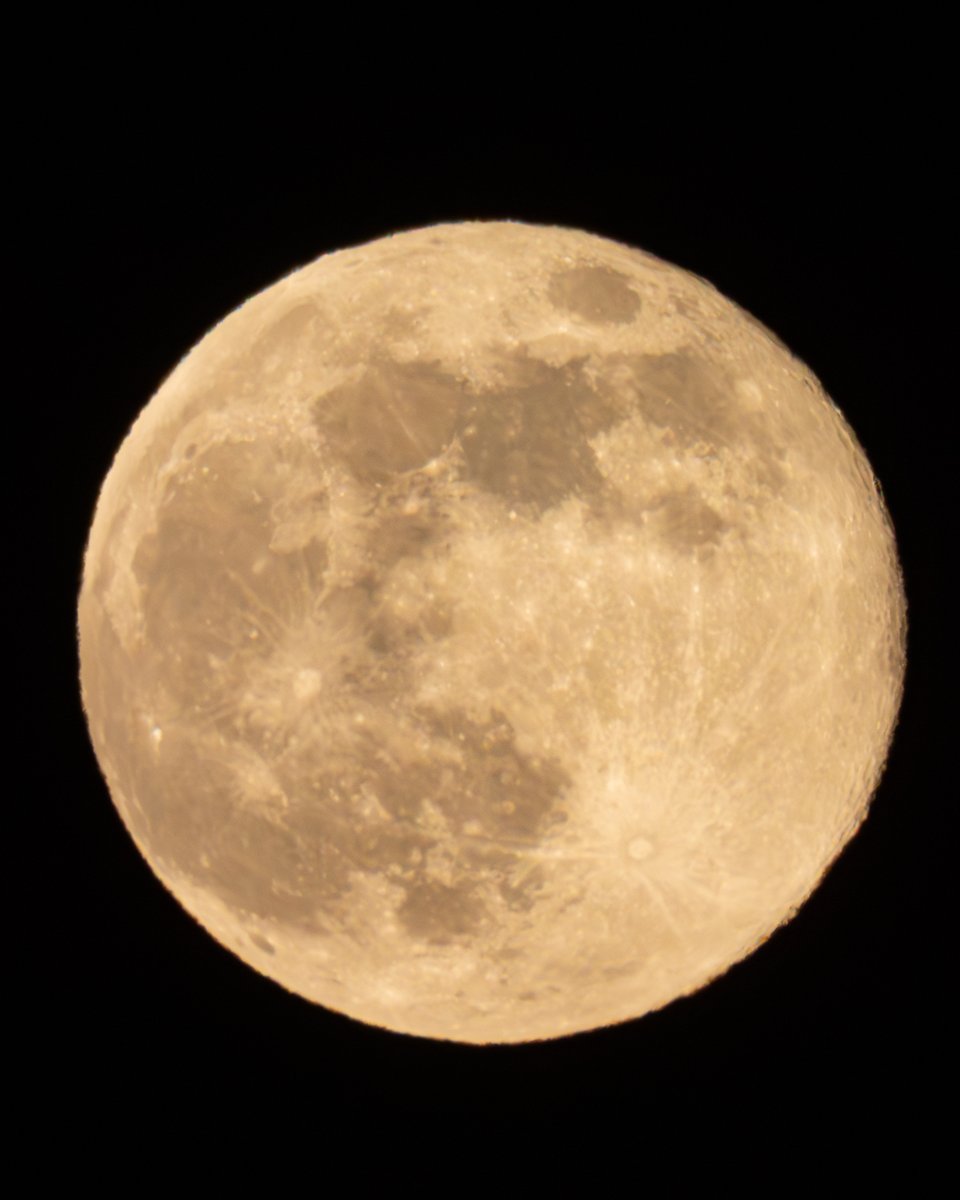 星の観察館「満天星」 tweet media