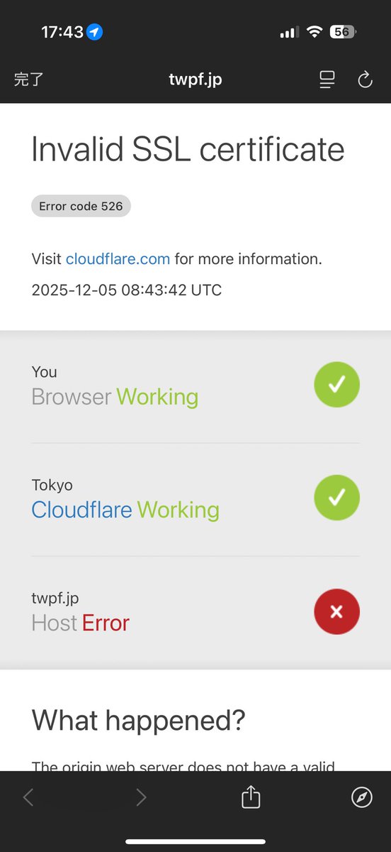 きてぃあ❷ tweet media