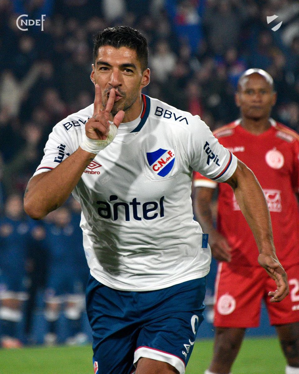 Giuliano Curotto tweet media