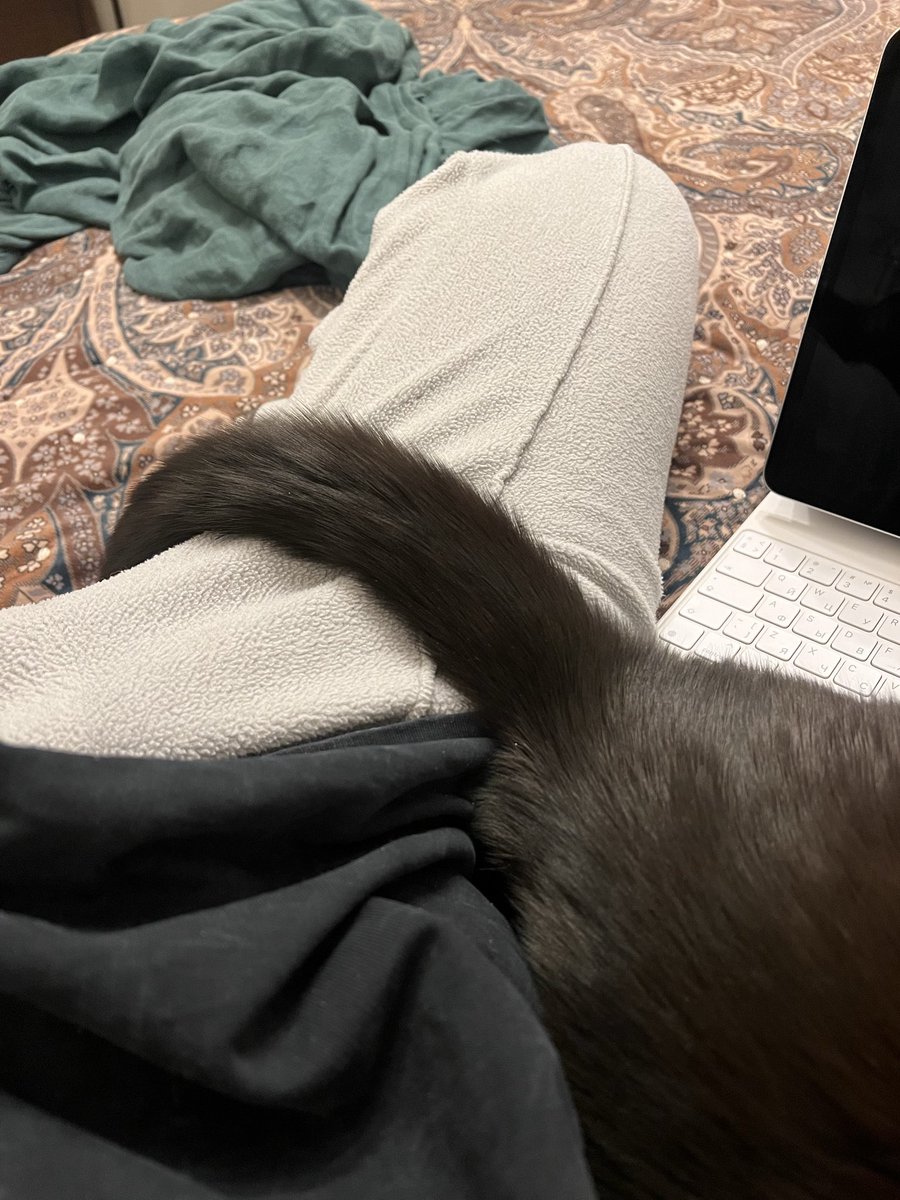 Если не это иллюстрация к слову «примостился», то что тогда?