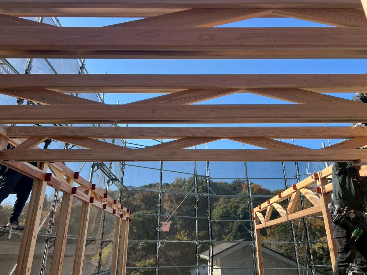 金田泰裕 (yasuhirokaneda STRUCTURE) tweet media
