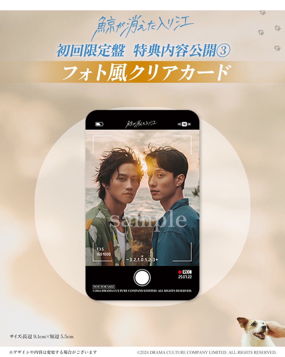 鯨が消えた入り江 📀Blu-ray 初回限定盤の特典🎁その③ ＼フォト風