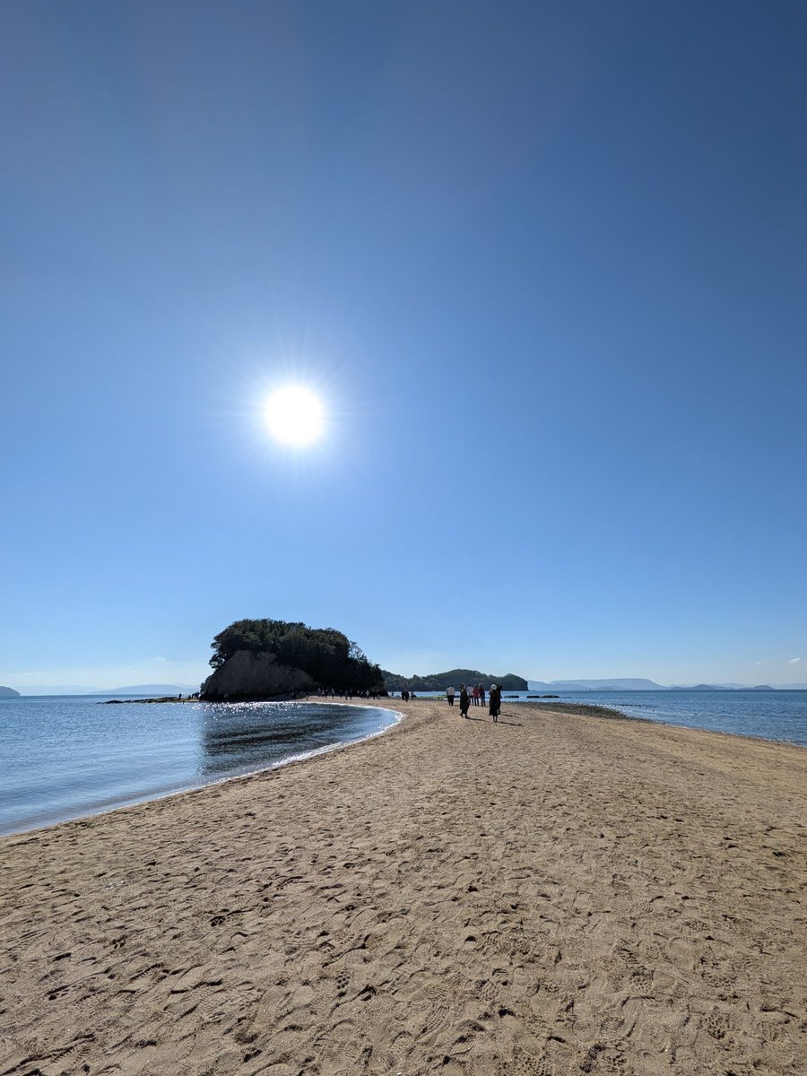 嶋津良智@ビジネス書作家、ビジネススクール経営 (@yshimazu) / Posts / X