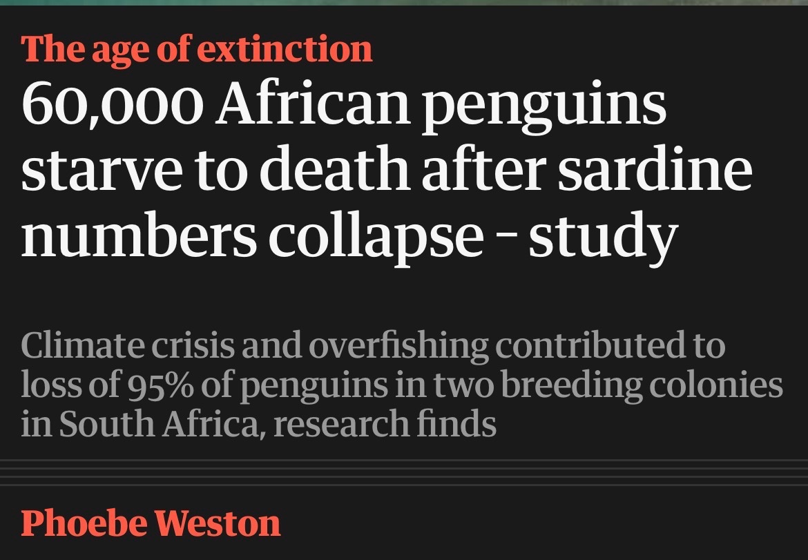 Clive Lewis MP tweet media