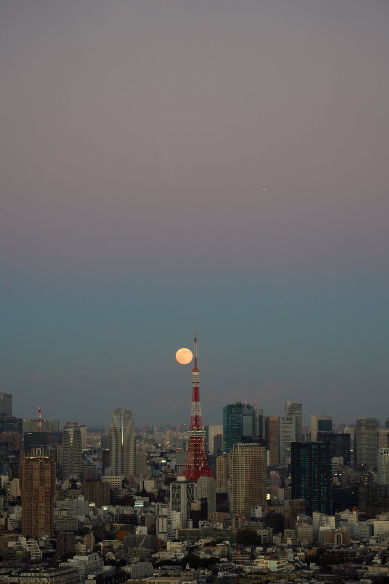 qrg1422's tweet photo. 最後の満月 コールドムーン🌕🗼 https://t.co/0IhO4NGVB7