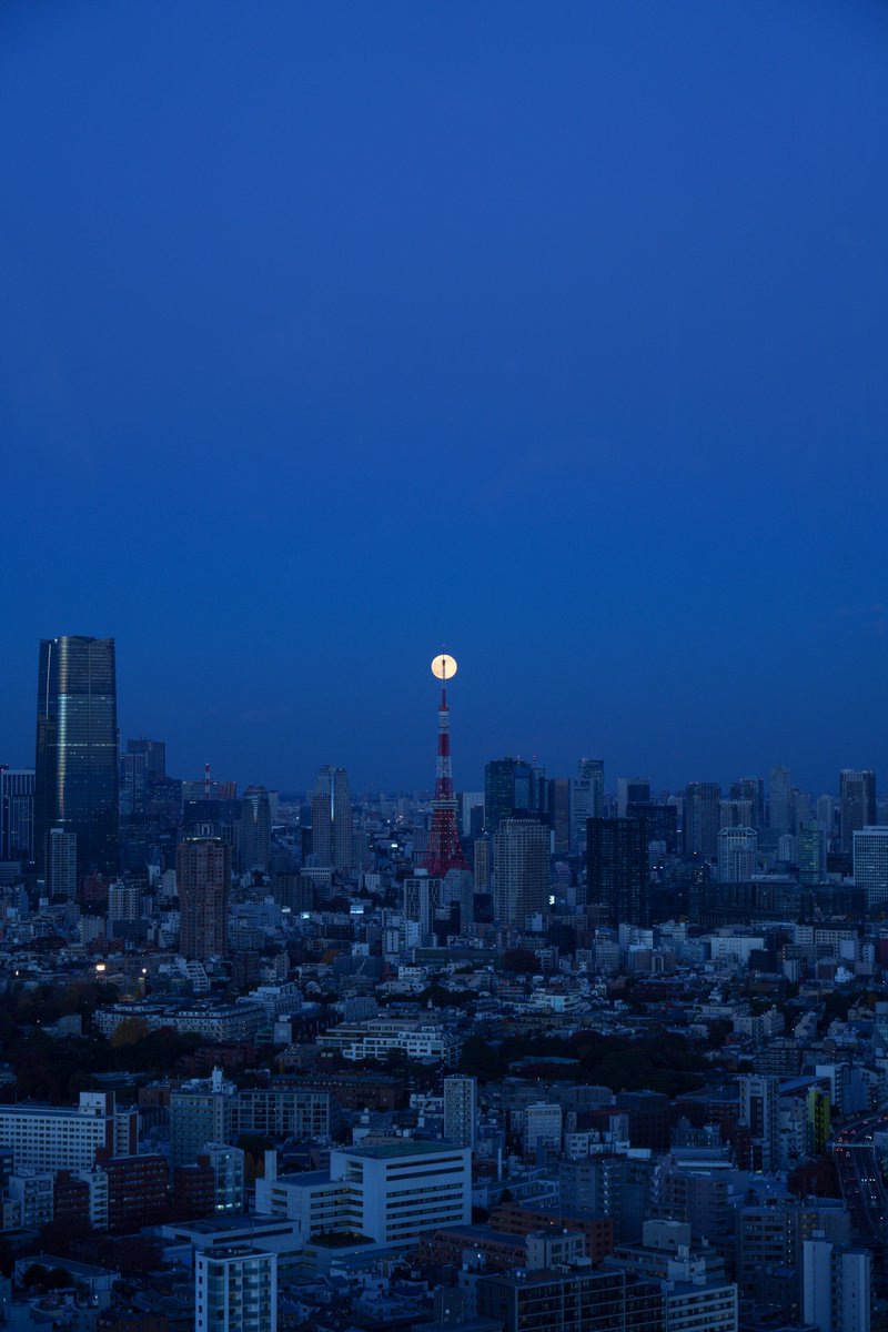 qrg1422's tweet photo. 最後の満月 コールドムーン🌕🗼 https://t.co/0IhO4NGVB7