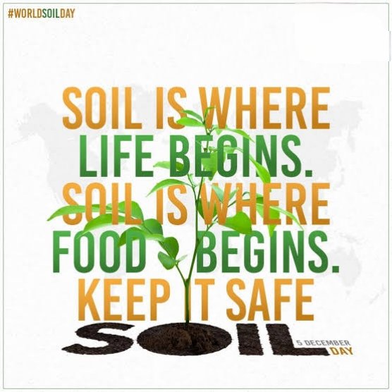 Vishal____0511's tweet photo. World Soil Day 🍁🌱🌾*

#SaveSoil 
#SoilConservation https://t.co/44mDp9c87c