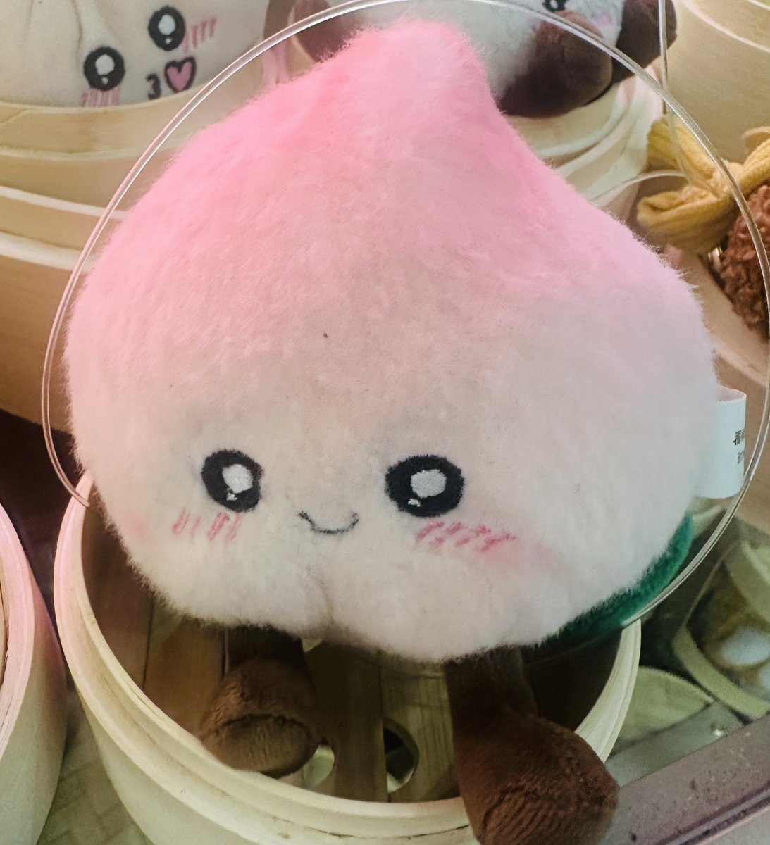 코르코르 tweet media