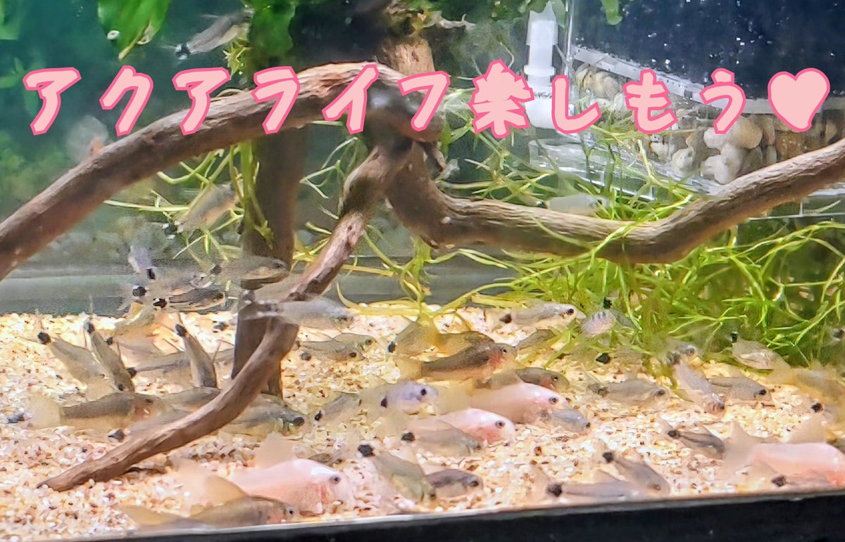 お気持ち表明？

私 個人の考えなので
不快に思われる方がいらっしゃったら
申し訳ありません🙇‍♂️💦