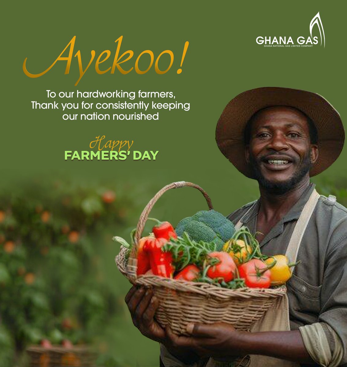 GNGCOfficial's tweet image. Ayekoo to our hardworking farmers! 🌱

Ghana Gas proudly celebrates your efforts and invaluable contributions to Ghana’s growth.

#FarmersDay
#GhanaGas
#CelebratingFarmers
#NationBuilders
#AgricultureHeroes