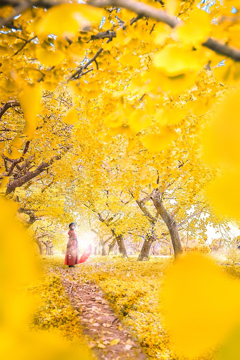 ks__1984 (@ks__1984) / Posts / X