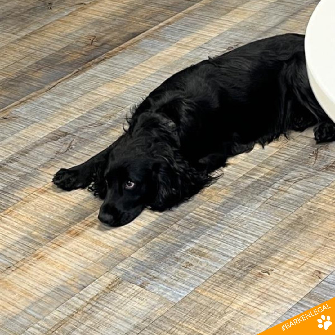 Arken.legal tweet media