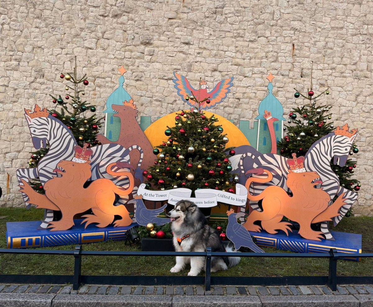 TowerOfLondon's tweet image. Spot the impawster in our Tower of London Christmas display 🐶 

Say hello to Luna Bear, our Yeoman Warder Scott Kelly's lovely Alaskan Malamute, who couldn't resist posing with the other animals in our Royal Menagerie scene! 🎄
