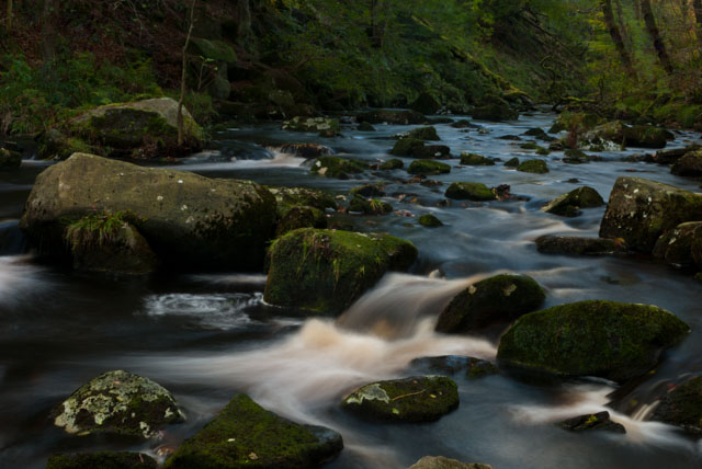 photos_dsmith's tweet image. A #river flows over moss covered #rocks in #lancashire. Places like this are a #haven for #wildlife and so #peaceful for #walkers to #explore. #Photographs like this are worth getting your feet wet for. Follow @photos_dsmith, a #UK #photography #SmallBusiness for more #images