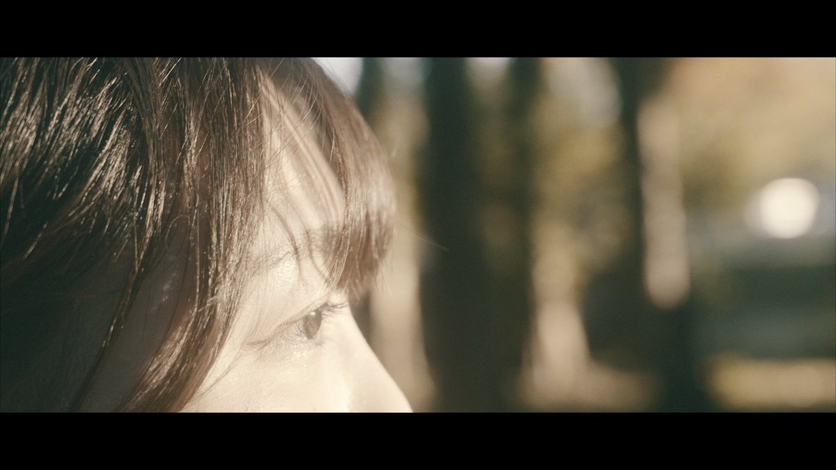 Coll -コル- tweet media