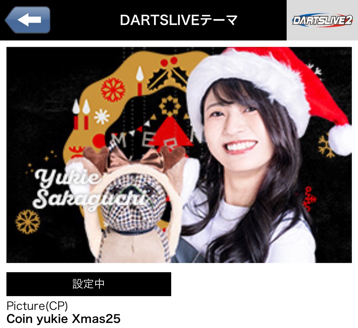 とちゃんさま専用 ダーツ 引退 まとめ売り とちゃんさま専用 ダーツ