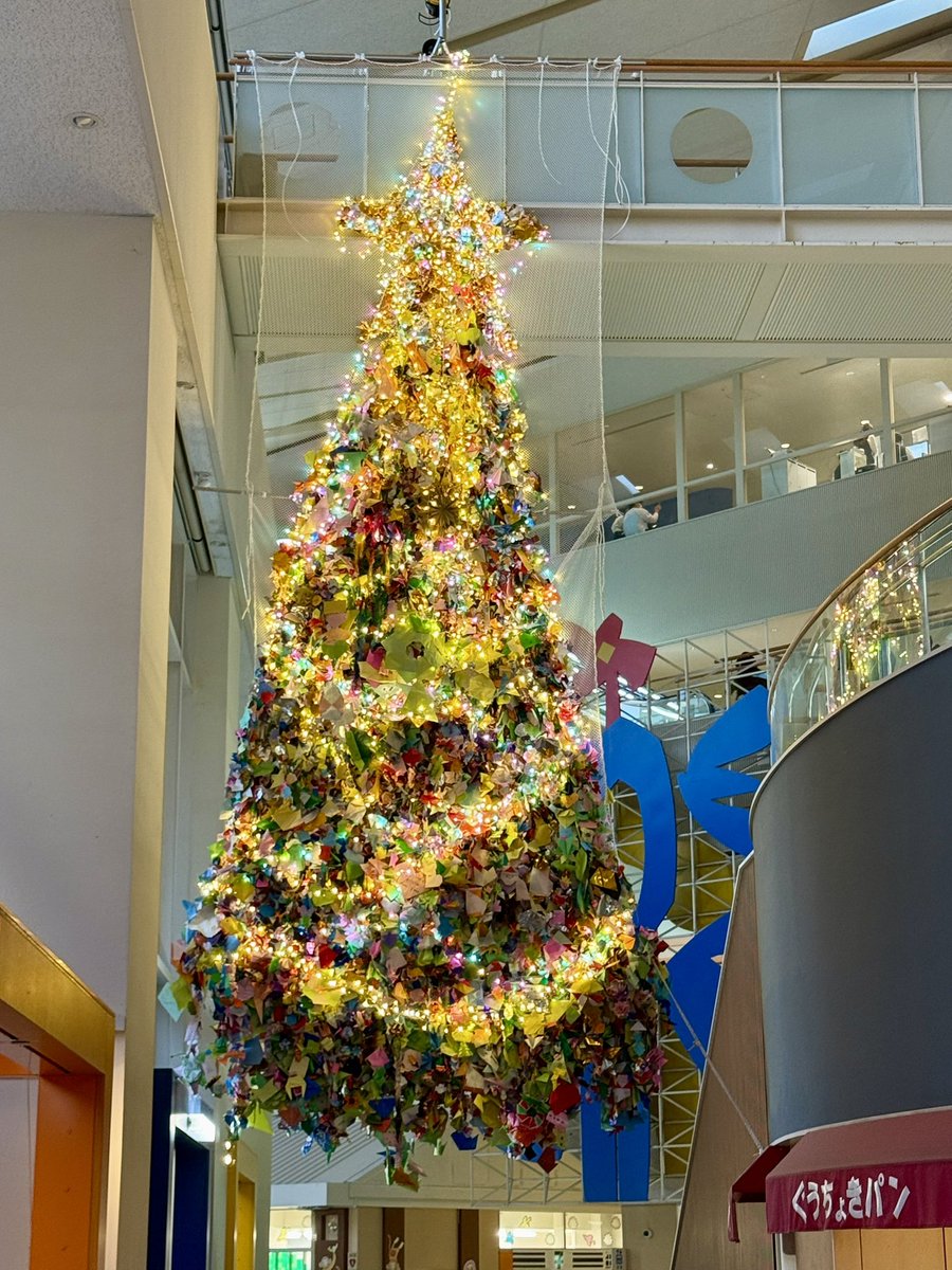 息子より

今年も博物館グッズの売上と、貯めたおこづかいを寄付しに行きました。
補助人工心臓や医療機器購入、患者の皆さまに使っていただきたいとお伝えしました。

折り紙ツリー綺麗でした。
病気や痛みを全部飲み込んでもらえるようにぼくがフクロウナギを折りました。

活動続けていきたいです。