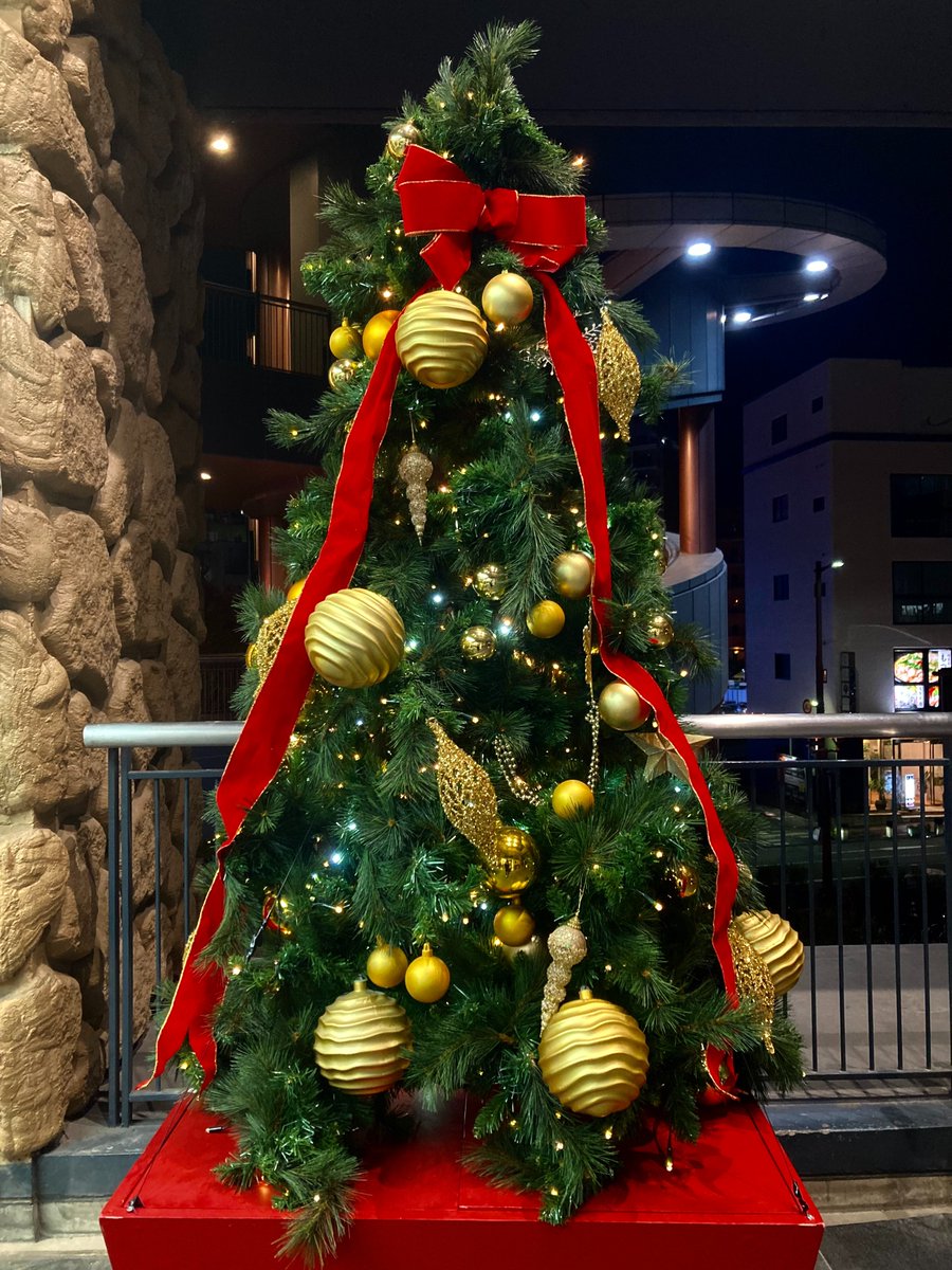 今年も登場🎄✨ ＼ 館内にクリスマスツリーが登場中！ ゴールドの