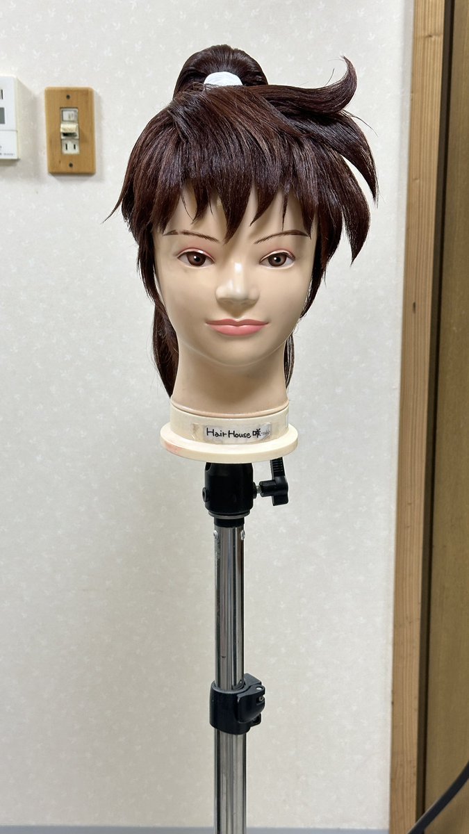 忍たま 乱太郎 土井 半助 (19歳ver.)風ウィッグセットをさせて頂きまし