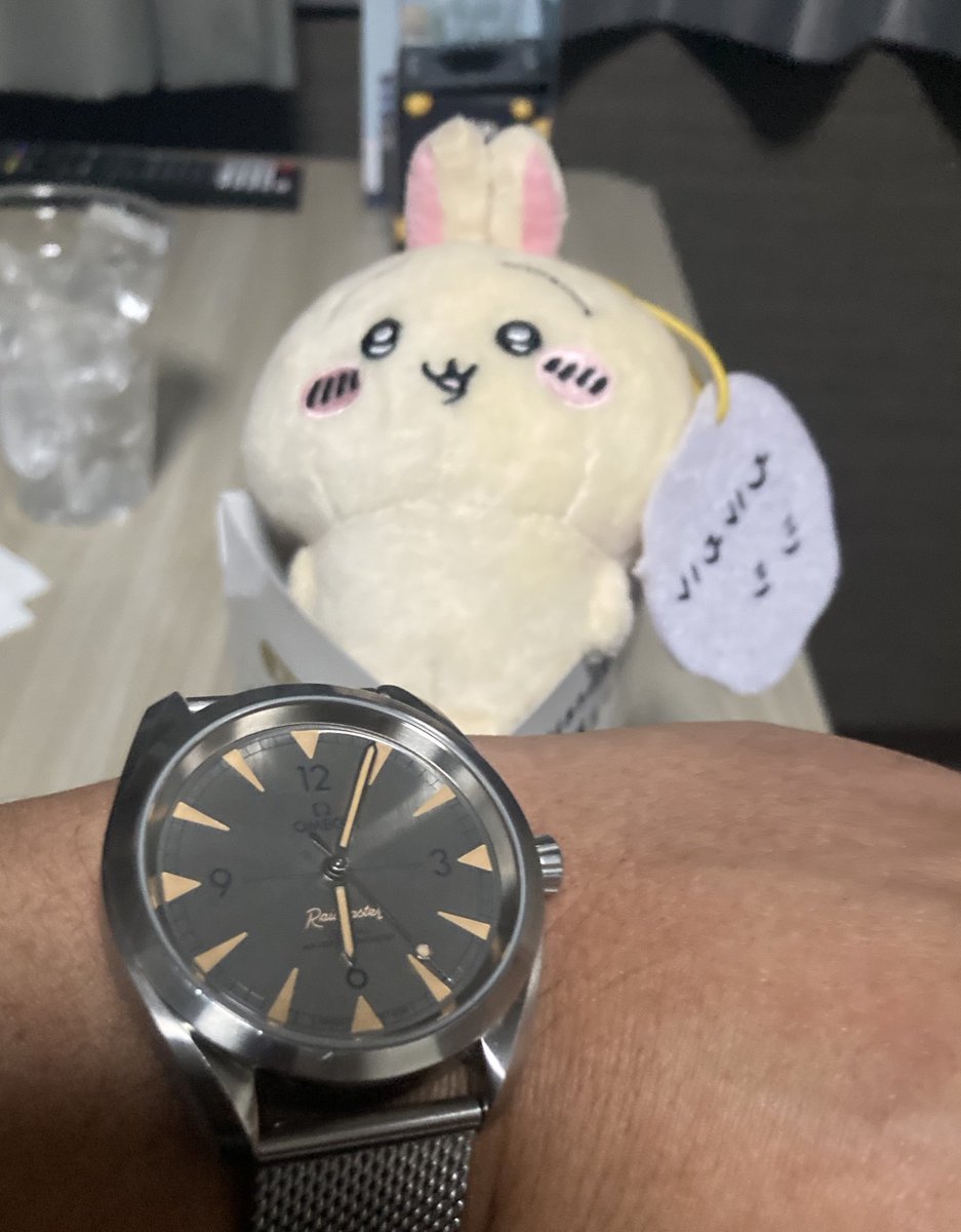 sir_jaffejoffa's tweet photo. 茨城県、下妻に出撃。
…ルートイン、私には高級ホテルにしか見えぬわ…。
#railmaster
#ツツウラウラ https://t.co/r7gBYrdyCb