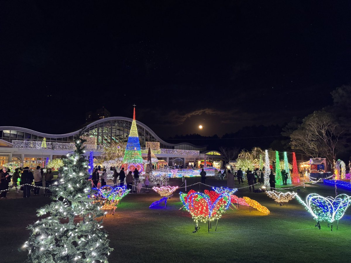 フローランテのイルミネーション・フラワーガーデン、始まりました