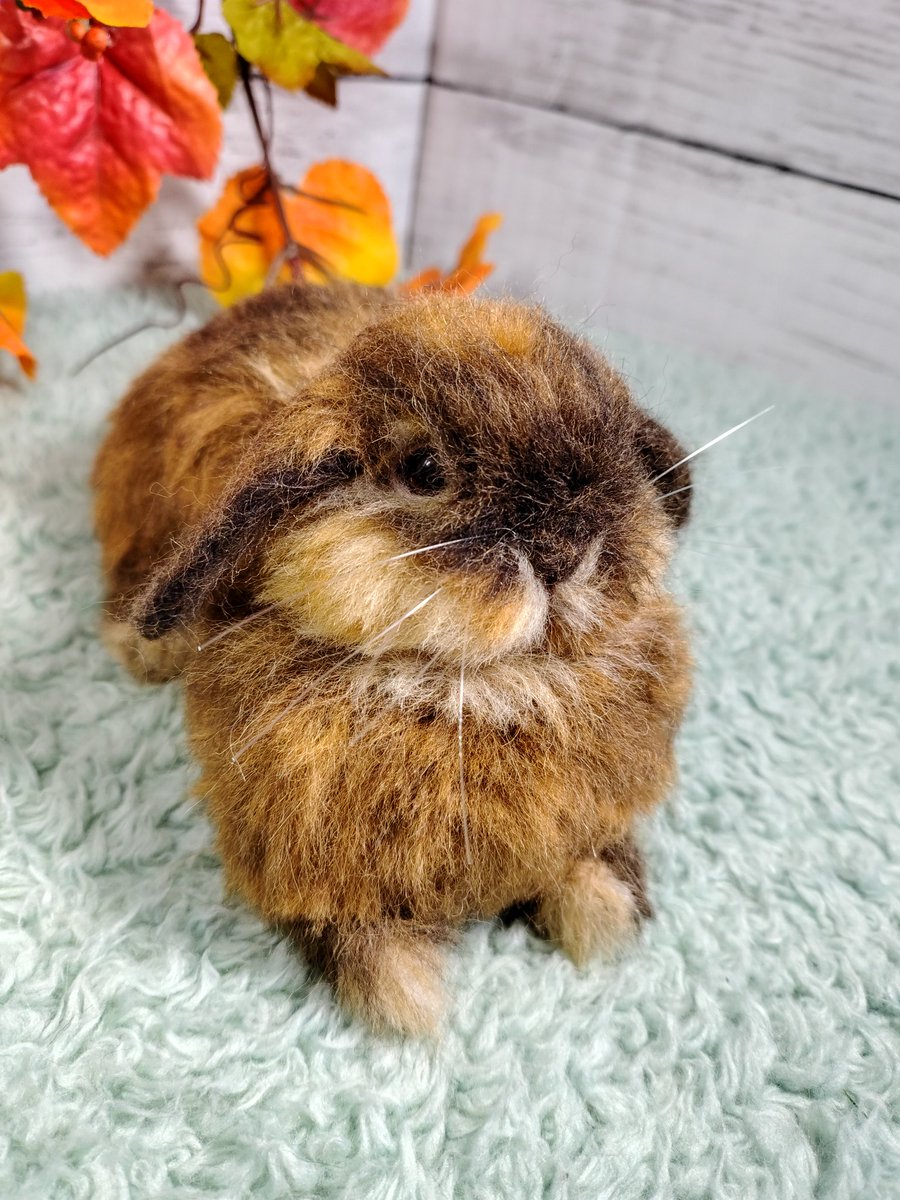 #うさぎ作品展inX 
今月もよろしくお願い致します🙇
羊毛フェルトを使用してうさぎ🐰さん作っています🤗
ロップ🐰ちゃんは🌕組オーダーうさぎさん✴
今までで一番難しかった💦
愛🐰を想う気持ちに寄り添いたい🤗❤
あんな🐰こんな🐰
うさぎ愛を込めて制作中💕
