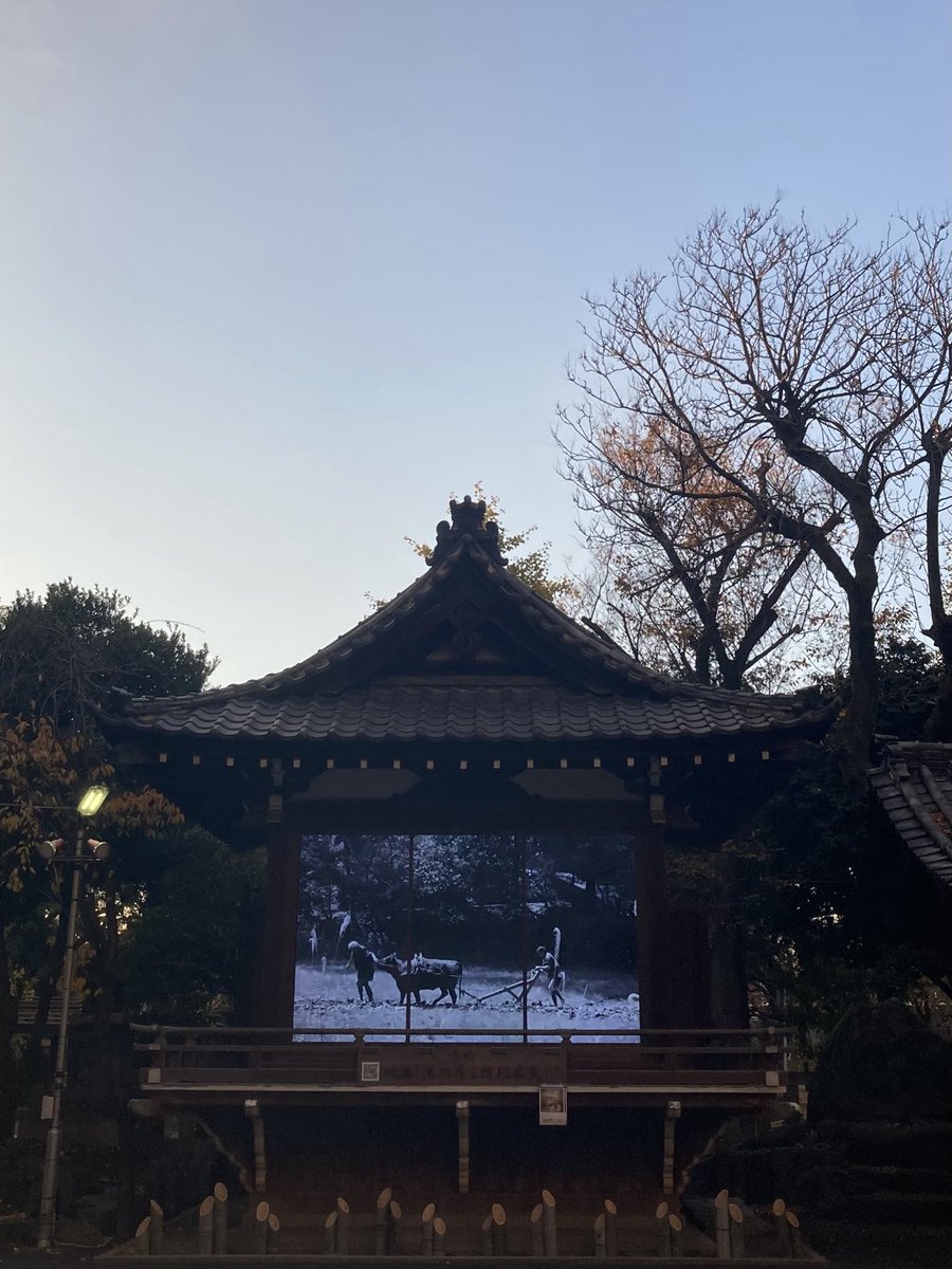 向島ぶらり。牛嶋神社の神楽殿をスクリーンにして来年公開される「黒の牛」の特別編（15分）が流れてて素敵でした。これは劇場へ行っちゃうでしょう。2月末まで連日7時から22時。映像美。牛と人間の存在感。今夜は豆乳鍋です。

<a href="/BlackOX_2025/">映画『黒の牛』公式　2026年1月23日公開</a>