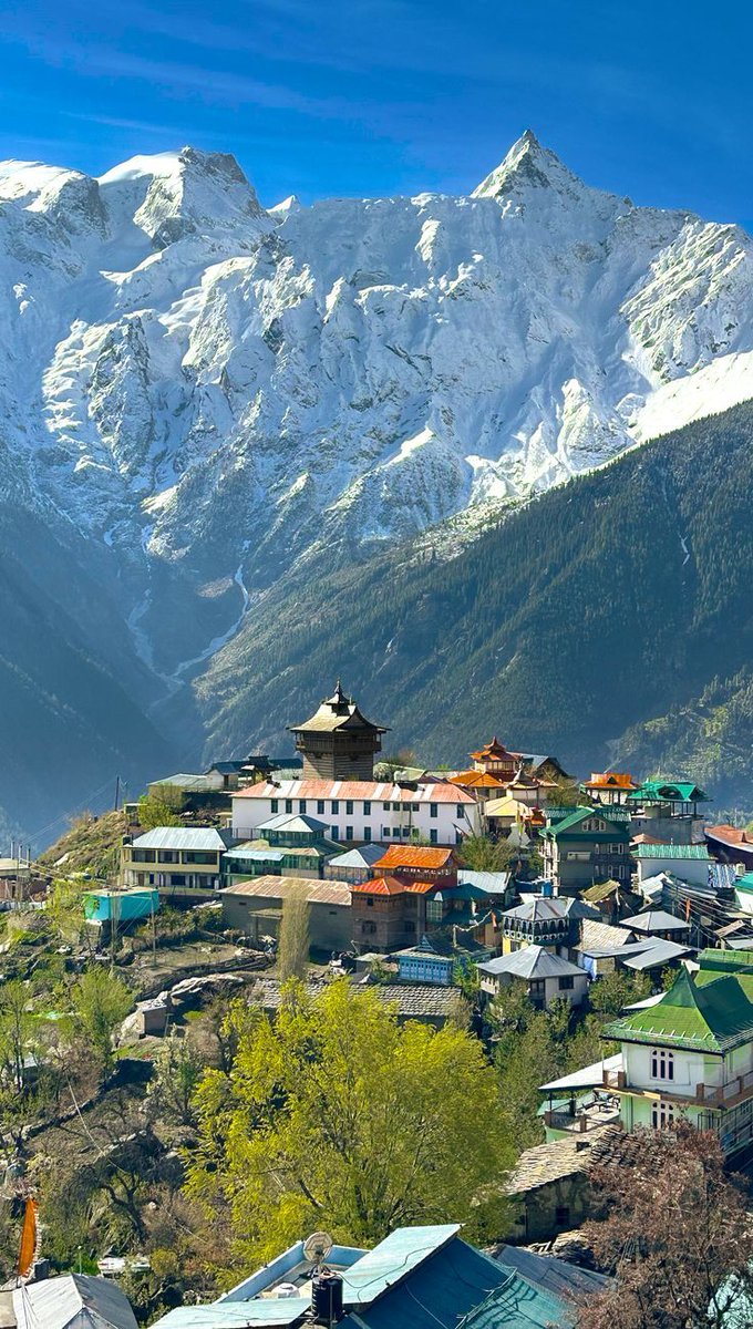 Kalpa under the shadow of Kinner Kailash divinity framed in daylight ♥️