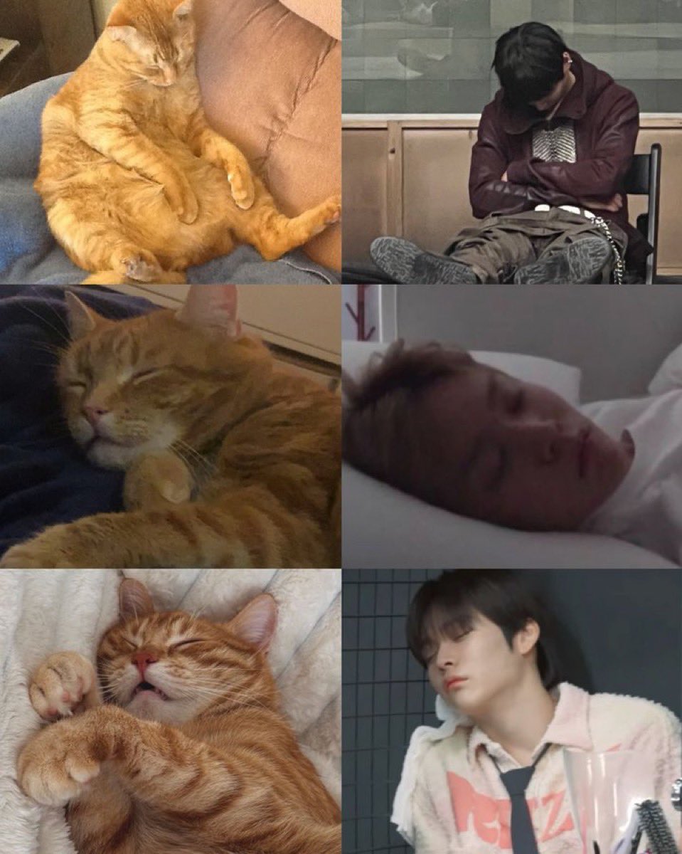 pow (@eunseokdaisyx) on Twitter photo 