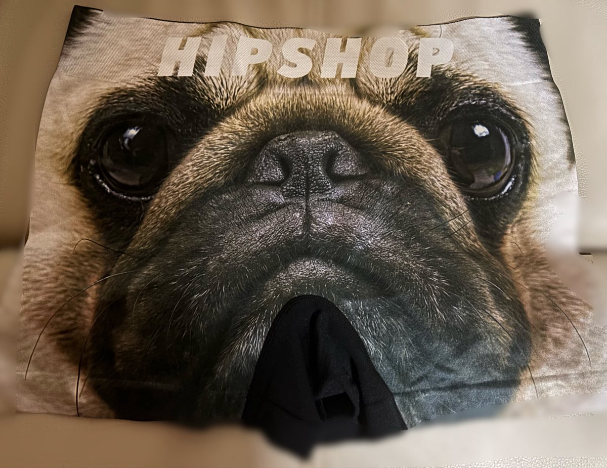 れんにき (@X0X08008) / Posts / X