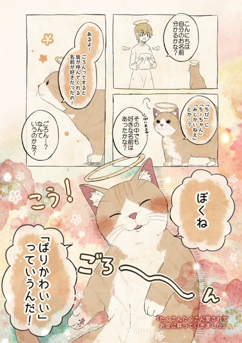 自分の名前を勘違いしているマンチカン

#自分の名前を勘違いしている子 