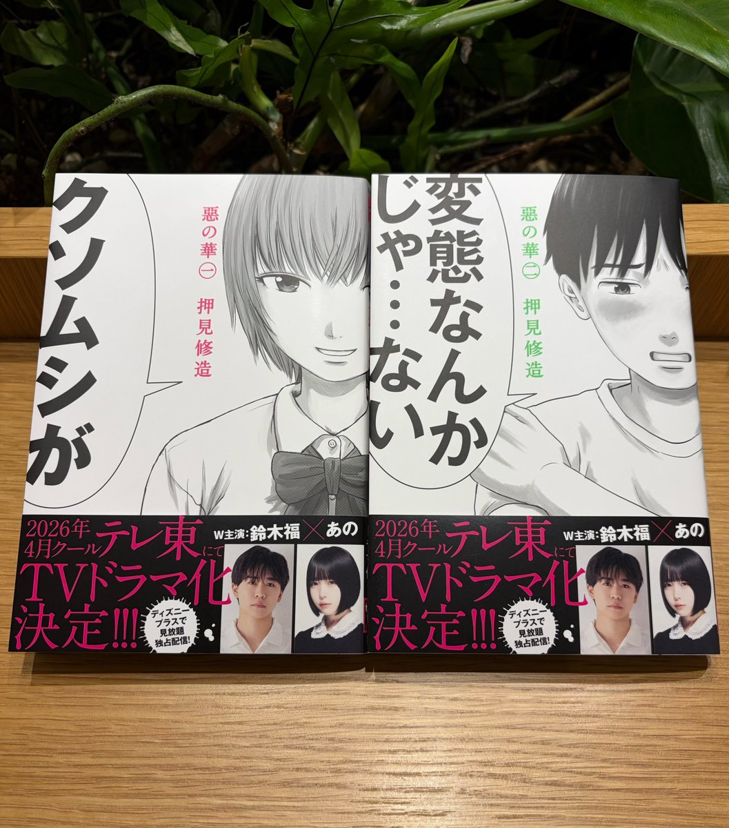 2026年4月放送スタート #ドラマ惡の華🪻 /／ #押見修造 先生の原作