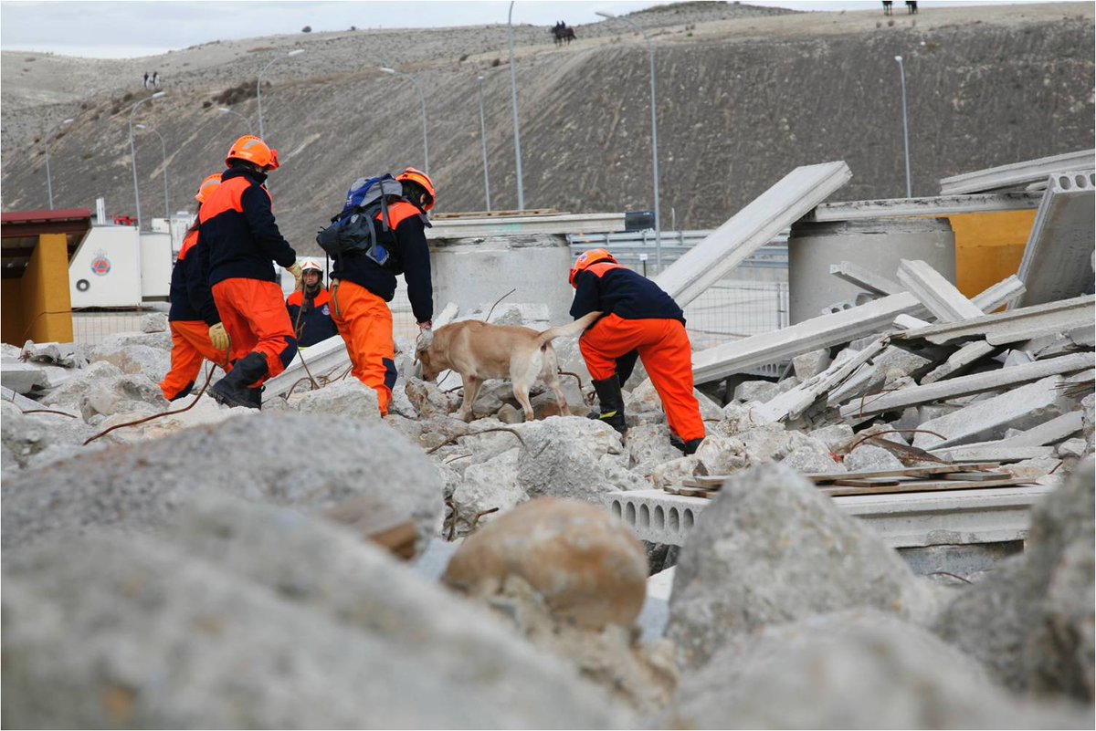 proteccioncivil's tweet photo. Actividades para esta semana Escuela Nacional de @proteccioncivil 🦺 #ENPC

🗓️ Del 9 al 13 de diciembre de 2025

🐕‍🦺Entrenamientos de equipos cinológicos de diversos servicios

➡️Dirigido a miembros de @policia #ERICAM @SAMUR_PC @ESDP_esp

📍Rivas-Vaciamadrid https://t.co/KFPX7JdiBw