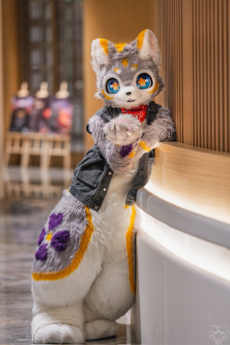 #FursuitFriday 
嗨宝贝～一个人上网啊～
（叼玫瑰）
（吐玫瑰）
（被玫瑰刺扎到嘴）
（落荒而逃）
📷殁卡