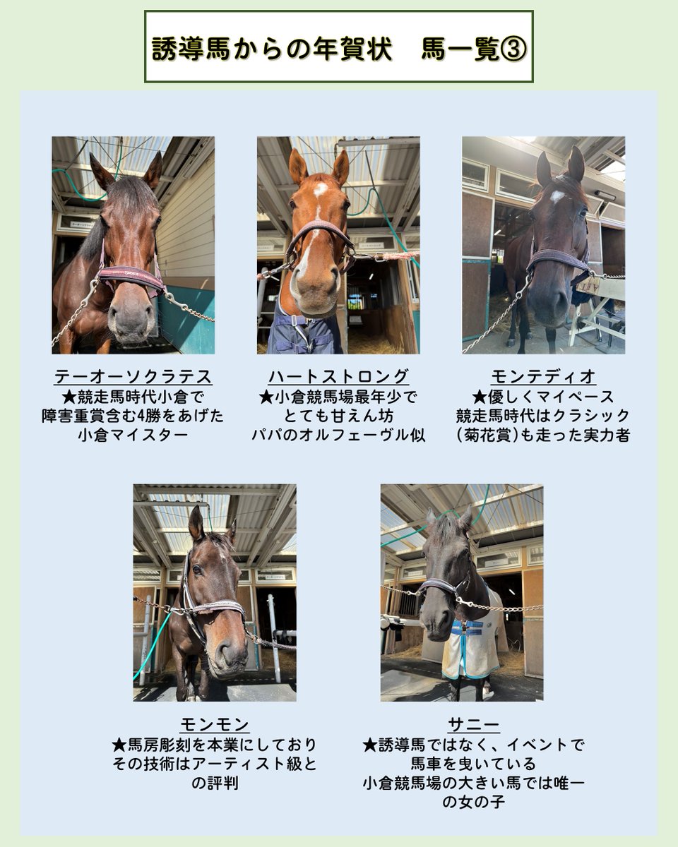 年賀状は現在小倉競馬場にいる誘導馬12頭と馬車担当のサニーで計13頭分