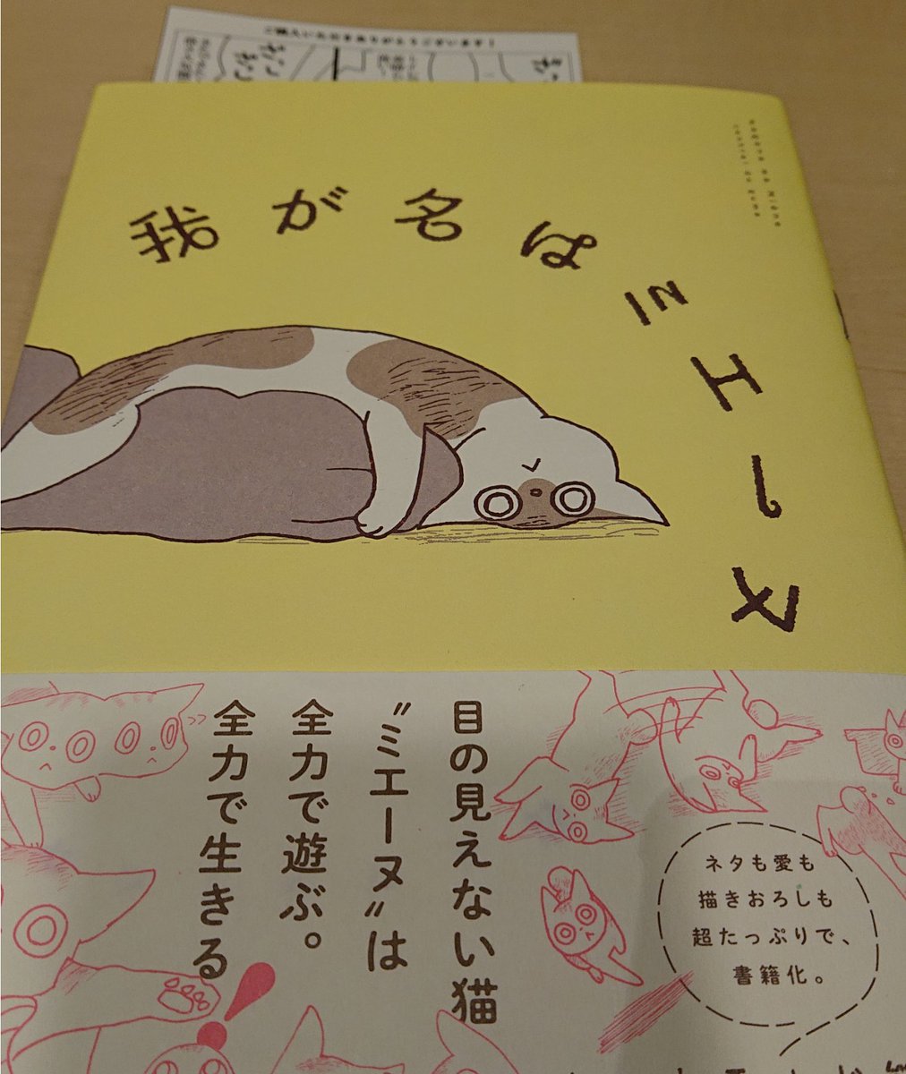 48_awt's tweet photo. ミエーヌ買ってきたー
特典も良き https://t.co/hefbS8sJ3M