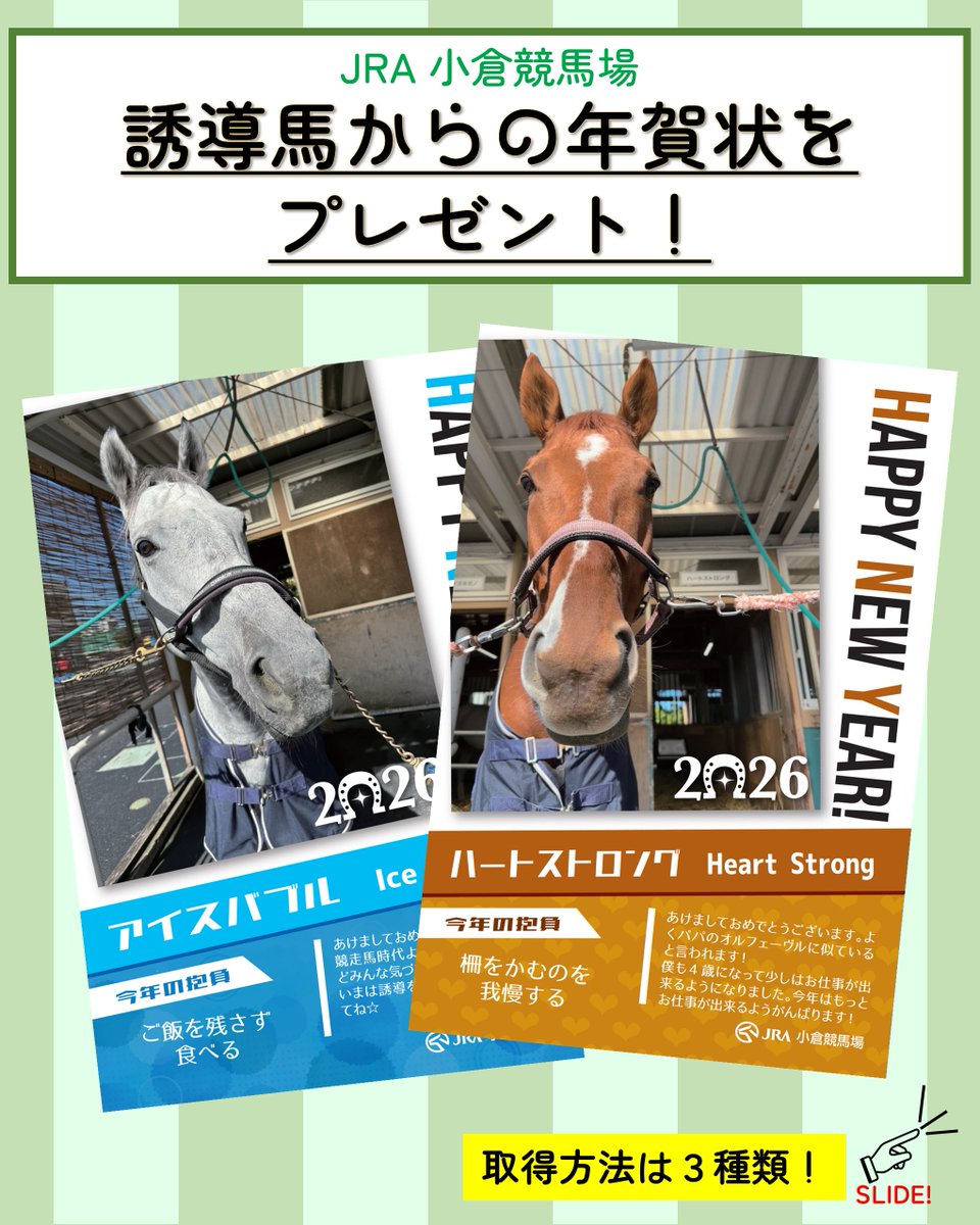 JRA 小倉競馬場 2026年賀ポストカード 誘導馬 14枚セット JRA 小倉競馬場 2026年賀ポストカード 誘導馬 シンゼンレンジャー