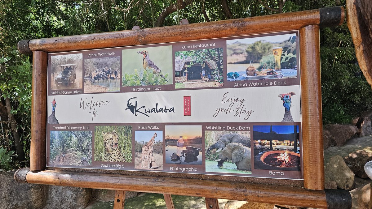 Malaka Rodrigo tweet media